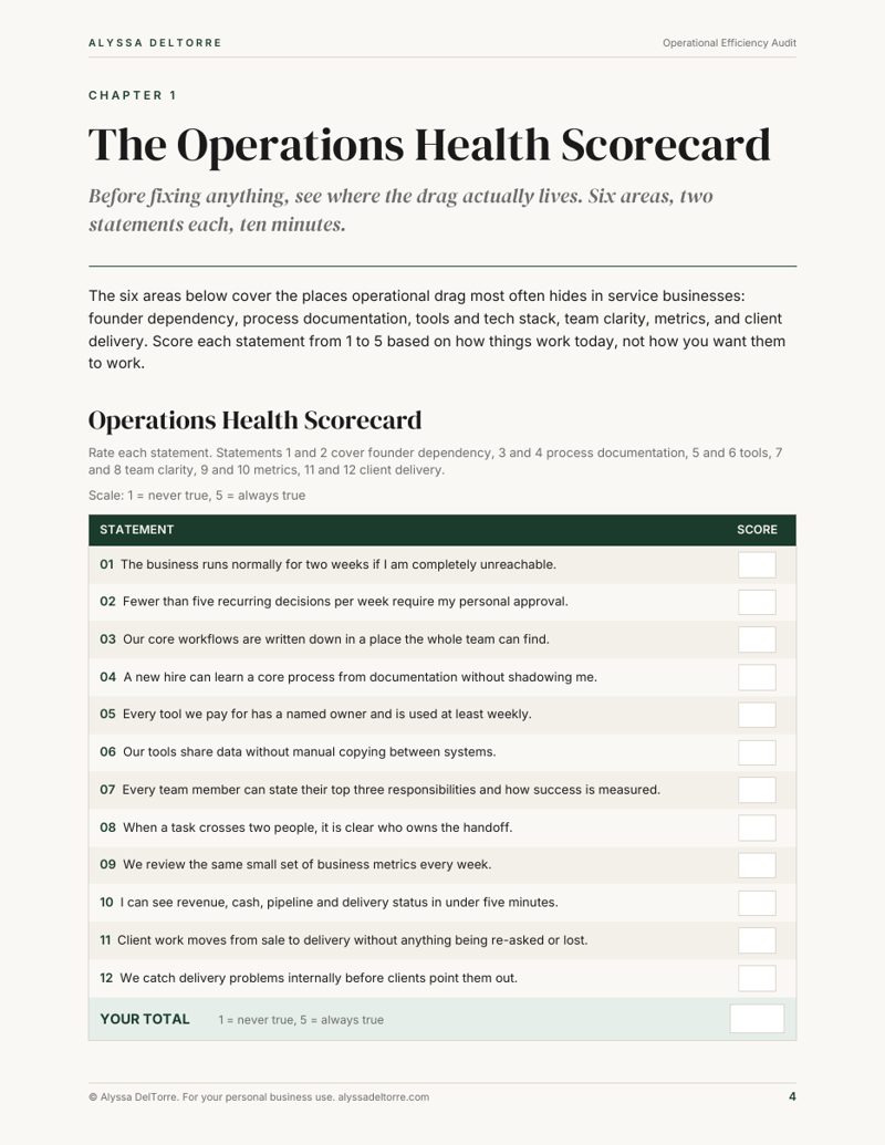 Operational Efficiency Audit sample page