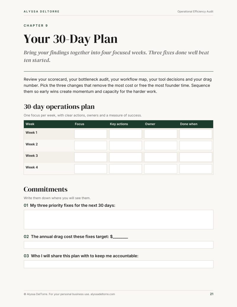 Operational Efficiency Audit sample page